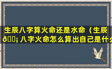 生辰八字算火命还是水命（生辰 🐡 八字火命怎么算出自己是什么火）